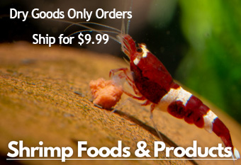 A red and white shrimp happily eating its food on a natural looking background with a label 'Shrimp Foods and Products' on the top right corner.