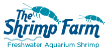 the-shrimp-farm-logo