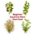 Beginner Aquarium Stem Plant Pack featuring four easy live stem plants for freshwater aquariums, planted tanks, and shrimp tanks