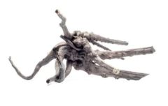 Black Forrest Spiderwood - Small-Small 4-10 Inches