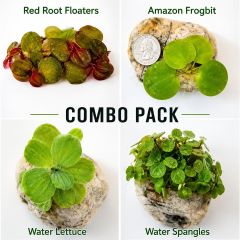Floating Plants Combo Pack featuring Amazon Frogbit, Duckweed, Water Lettuce, Red Root Floaters, and Water Spangles for shrimp tanks, betta tanks, and planted freshwater aquariums.