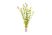 Rotala Indica easy aquarium stem plant for sale at The Shrimp Farm