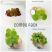 floating plant combo pack easy to grow aquarium plants for sale at The Shrimp Farm
