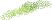Duckweed floating aquarium plant for sale at the shrimp farm