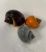 Assorted Mystery Snails