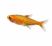 Ember tetra (Hyphessobrycon amandae) isolated on white background, bright orange nano aquarium fish, high detail