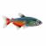 Green Fire Tetra (Aphyocharax rathbuni) isolated on white background for freshwater planted aquariums