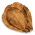 indian almond leaves for shrimp tank white background catappa leaves aquarium dried leaves