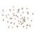 Live daphnia culture on white background for aquarium fish fry and nano fish food