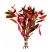 Ludwigia Diamond aquarium plant with vibrant red foliage on a white background