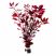 Ludwigia Super Red Mini aquarium stem plant with vibrant red leaves on white background