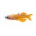 Red Neon Blue Eye Rainbowfish isolated on white background for freshwater aquarium