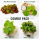 Floating Plants Combo Pack featuring Amazon Frogbit, Duckweed, Water Lettuce, Red Root Floaters, and Water Spangles for shrimp tanks, betta tanks, and planted freshwater aquariums.