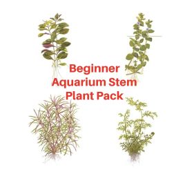 Freshwater Aquarium Plants For Sale - The Shrimp Farm