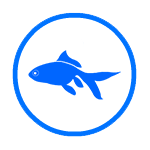 Freshwater Fish Category