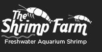 the-shrimp-farm