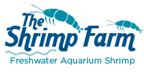 The Shrimpfarm The Shrimpfarm